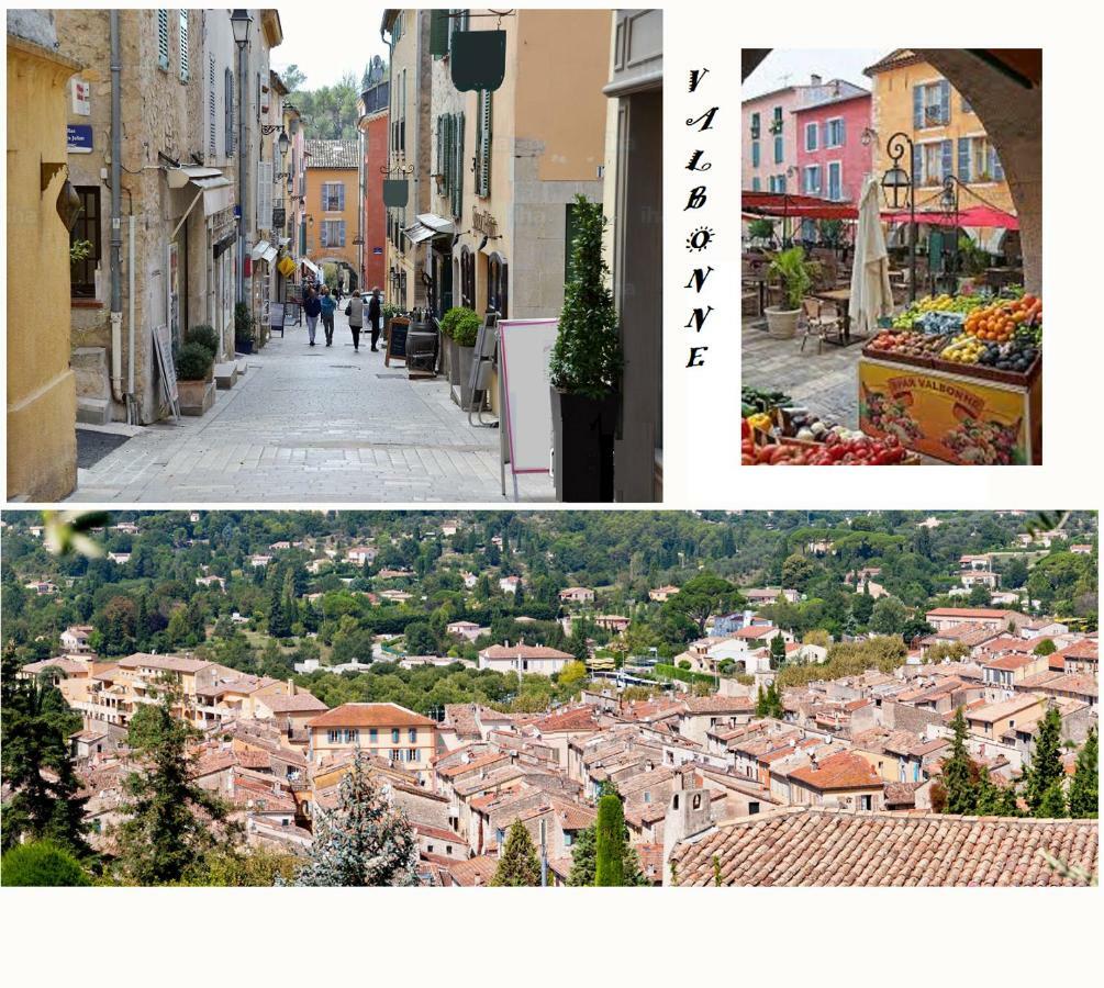 Les Chenes Verts Valbonne Kültér fotó