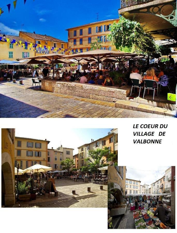 Les Chenes Verts Valbonne Kültér fotó